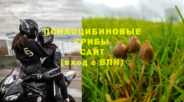 дурь Абинск